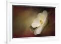 Gramercy White