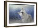 Chelsea Forest Gray