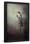 Essential Black