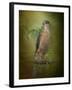 Chelsea Black