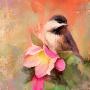 Just the Print