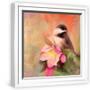 White Frame