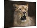 Stretched Canvas