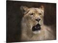 Stretched Canvas