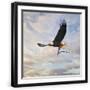 Black Frame