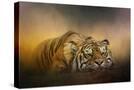 Stretched Canvas