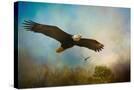 Stretched Canvas