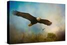 Stretched Canvas