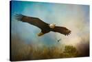 Stretched Canvas
