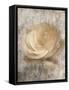 Framed Canvas