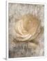 Gramercy White
