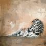 Just the Print