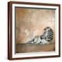 Brown Frame