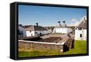 Framed Canvas