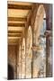 Wood Mount