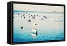 Canvas Black