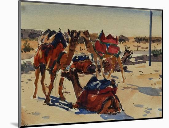 Jaisalmer Camels-Richard Foster-Mounted Giclee Print