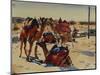 Jaisalmer Camels-Richard Foster-Mounted Giclee Print