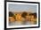 Jaisalmer Fortress and Gadsisar Lake Illuminated at Sunrise, Jaisalmer, Rajasthan, India, Asia-Doug Pearson-Framed Photographic Print