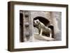 Jak Abbey, Hungary, 20th century-CM Dixon-Framed Photographic Print