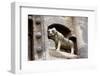 Jak Abbey, Hungary, 20th century-CM Dixon-Framed Photographic Print