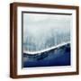 Brown Frame