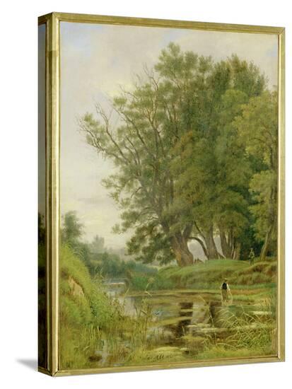 Stretched Canvas Print, , large