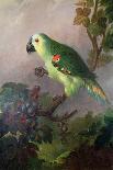 Flower Piece with Parrot-Jakob Bogdani Or Bogdany-Giclee Print