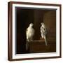 Brown Frame