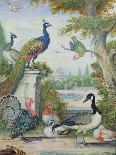 Exotic Birds and Domestic Fowl in a Picturesque Park, Early 18th Century-Jakob Bogdany-Stretched Canvas