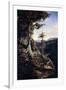 Jala-Jala Forest-Auguste Borget-Framed Giclee Print