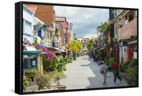 Jalan Stapok Street, Kuching, Sarawak, Malaysian Borneo, Malaysia, Southeast Asia, Asia-Nico Tondini-Framed Stretched Canvas