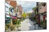 Jalan Stapok Street, Kuching, Sarawak, Malaysian Borneo, Malaysia, Southeast Asia, Asia-Nico Tondini-Mounted Photographic Print