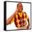 JALEEL WHITE. "FAMILY MATTERS" [1989].-null-Framed Stretched Canvas