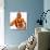 JALEEL WHITE. "FAMILY MATTERS" [1989].-null-Photographic Print displayed on a wall