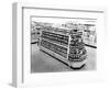 Jam and Marmalade Aisle, Woolworths Store, 1956 (B/W Photo)-English Photographer-Framed Giclee Print