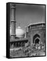 Jama Masjid, Delhi, India, Late 19th or Early 20th Century-null-Framed Stretched Canvas