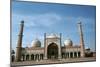Jama Masjid, Delhi, India-Vivienne Sharp-Mounted Photographic Print