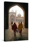 Jama Masjid Mosque, Delhi, India-David Noyes-Stretched Canvas