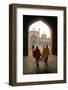 Jama Masjid Mosque, Delhi, India-David Noyes-Framed Photographic Print