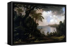 Jamaica, View from Fern-Tree Walk, 1887-Martin Johnson Heade-Framed Stretched Canvas