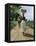 Jamaica Woman on Her Way to Market, 1890s-null-Framed Stretched Canvas