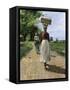 Jamaica Woman on Her Way to Market, 1890s-null-Framed Stretched Canvas