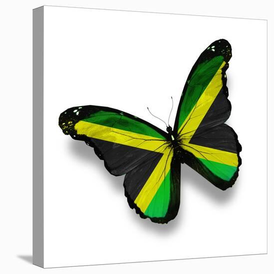 Jamaican Flag Butterfly, Isolated On White-suns_luck-Stretched Canvas
