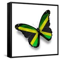 Jamaican Flag Butterfly, Isolated On White-suns_luck-Framed Stretched Canvas