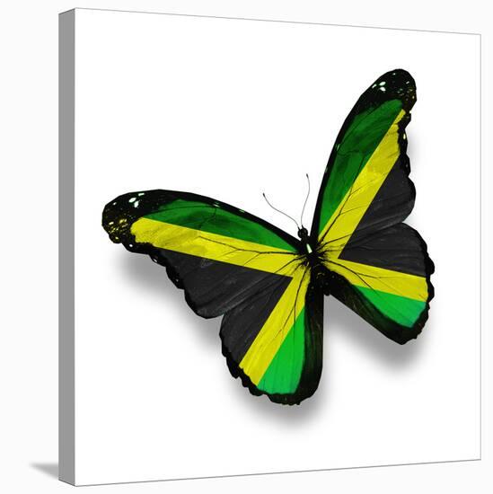 Jamaican Flag Butterfly, Isolated On White-suns_luck-Stretched Canvas