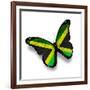 Jamaican Flag Butterfly, Isolated On White-suns_luck-Framed Premium Giclee Print