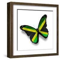 Jamaican Flag Butterfly, Isolated On White-suns_luck-Framed Art Print