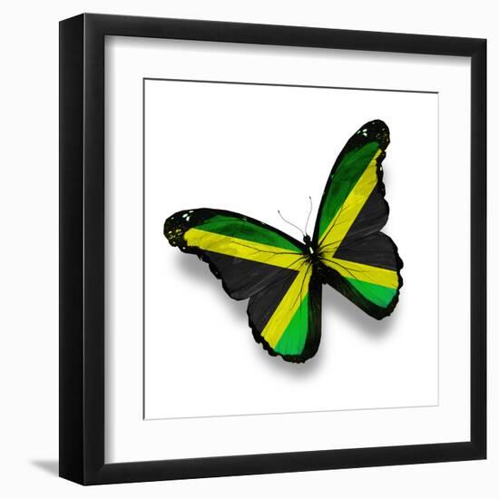 Jamaican Flag Butterfly, Isolated On White-suns_luck-Framed Art Print