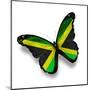 Jamaican Flag Butterfly, Isolated On White-suns_luck-Mounted Art Print